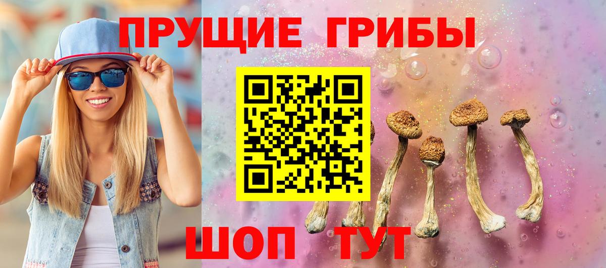 Бузулук  хочу   Вход с VPN  Псилоцибиновые грибы GOLDEN TEACHER 